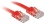 LINDY Patchkabel Cat6 Flachband ungeschirmt rot 0.30m