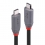 LINDY 0.8m USB 4 Typ C Kabel, Anthra Line