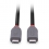 LINDY 0.8m USB 4 Typ C Kabel, Anthra Line