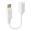 LINDY DisplayPort an Mini-DisplayPort Adapterkabel M/F 0.15m