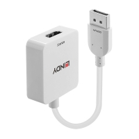 LINDY HDMI 18G auf DisplayPort 1.2 Konverter aktiv