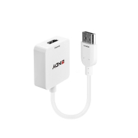 LINDY Konverter HDMI auf DisplayPort bis 4K 3840x2160 HDMI