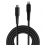 LINDY USB-C an Lightning Kabel schwarz 0.5m verstärkt