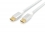 Equip USB Kabel 3.2 C -> C St/St 2.00m 5A weiß