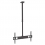 MANHATTAN Deckenhalterung Display 37"-70"/50kg neig&schw sw