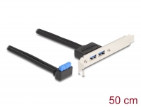 Delock Slot bracket 1 x USB 5 Gbps pin header female 90° angled to 2 x USB 5 Gbps Type-A female 50 cm