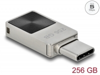 Delock Mini USB 5 Gbps USB-C™ Memory Stick 256 GB - Metal Housing