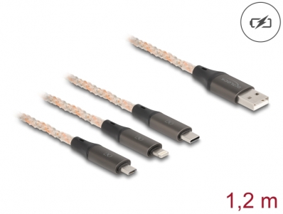 Delock USB RGB Charging Cable 3 in 1 Type-A to Lightning™ / Micro USB / USB Type-C™ 1.20 m