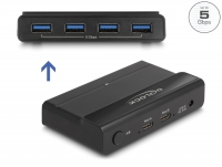 Delock USB 5 Gbps Switch 4 x Device and 2 x Host