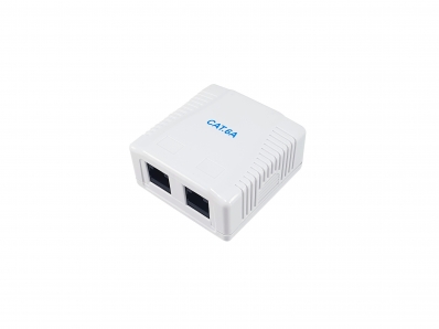 Equip Aufputzdose Cat6A 2-Port 2x RJ45 UTP