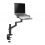 Neomounts by Newstar TIS Notebook 11,6"-17,3" 3Gelenke schwa