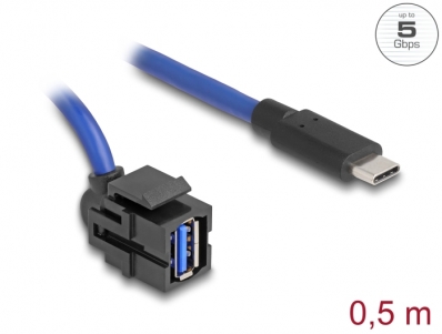 Delock Keystone Module USB 5 Gbps A female to USB Type-C™ male with cable