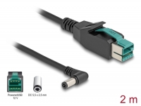 Delock PoweredUSB cable male 12 V to DC 5.5 x 2.5 mm male angled 2 m