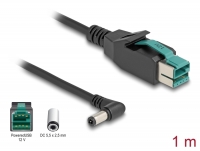 Delock PoweredUSB cable male 12 V to DC 5.5 x 2.5 mm male angled 1 m