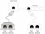 Delock RJ45 Port Doubler 1 x RJ45 male > 2 x RJ45 female (2 x Ethernet)