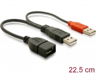 Delock Cable 2 x USB 2.0 type A male > USB 2.0 type A female 22.5 cm