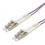 VALUE Fibre Optic Jumper Cable, 50/125 µm, LC/LC, OM4, purple 5.0 m