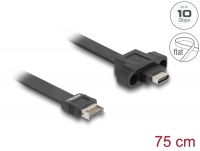 Delock USB 10 Gbps Flat Cable Type-E Key A 20 pin male to USB Type-C™ female panel-mount 75 cm