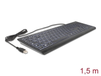 Delock USB Keyboard wired 1.5 m black with XXL letters and Illumination