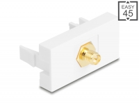 Delock Easy 45 Module RP-SMA female to RP-SMA female white