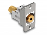 Delock Panel Mount stereo jack female 3.5 mm 4 pin > stereo jack female 3.5 mm 4 pin gold plated silver / white