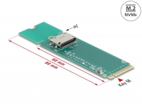 Delock M.2 Key M to 1 x OCuLink SFF-8612 Converter