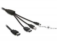 Delock Cable eSATApd 12V eSATAUSB-BDC 1m