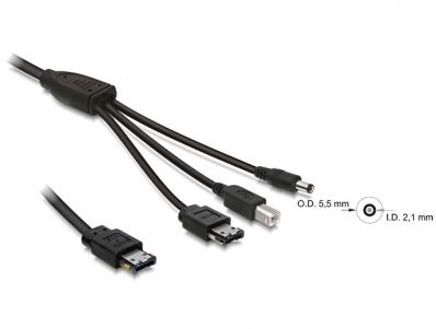 Delock Cable eSATApd 12V eSATAUSB-BDC 1m