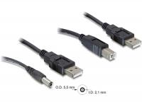 Delock Cableset 2x USB-A DC + USB-B 30cm