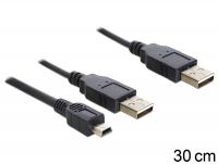 Delock Cable 2 x USB 2.0-A male USB mini 5-pin