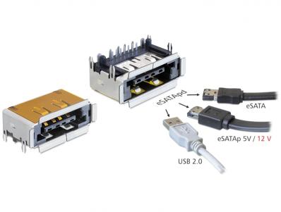 Delock Connector eSATApd female eSATA + USB 2.0 5 V 12 V