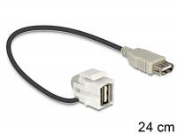 Delock Keystone module USB 2.0 A female USB 2.0 A female 110 with cable