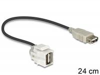 Delock Keystone module USB 2.0 A female USB 2.0 A female 250 with cable