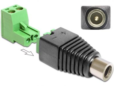 Delock Adapter DC 2.1 x 5.5 mm female Terminal Block 2 pin 2-part