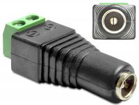 Delock Adapter DC 2.5 x 5.5 mm female Terminal Block 2 pin