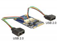 Delock Module MiniPCIe IO full size 2 x USB 2.0 type A female