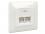 Delock Modular Wall Outlet flush mount 2 Port Cat.6 LSA