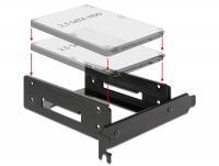 Delock Installation frame for 2 x 2.5 HDD into the PC slot
