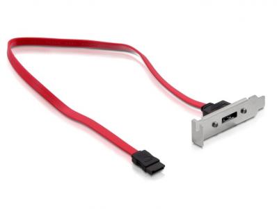 Delock Slotbracket 1x SATA external 1x eSATA Low profile