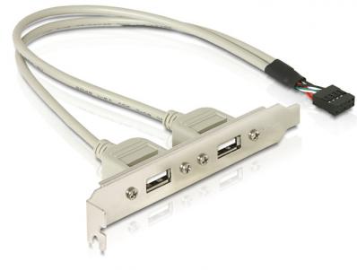 Delock Slot bracket 2 x USB 2.0 type A female external