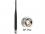 Delock WLAN Antenna RP-TNC 802.11 acahbgn 2 dBi Omnidirectional Fixed Black