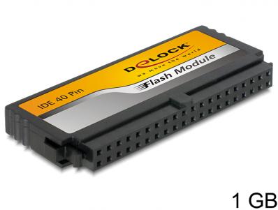 Delock IDE Flash Module 40Pin 1GB Vertical