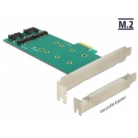 Delock PCI Express Card to 2 x internal M.2 Key B 110 mm - Low Profile Form Factor