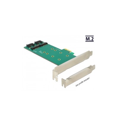 Delock PCI Express Card to 2 x internal M.2 Key B 110 mm - Low Profile Form Factor
