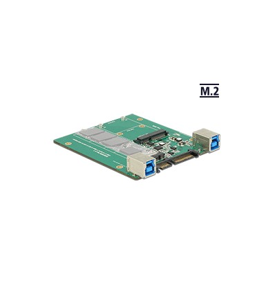 Delock Converter SATA / USB 3.1 Type-B female - M.2 / mSATA Slot