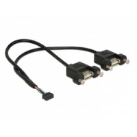 Delock Cable USB 2.0 pin header female 2.00 mm 10 pin - 2 x USB 2.0 Type-A female panel-mount 25 cm