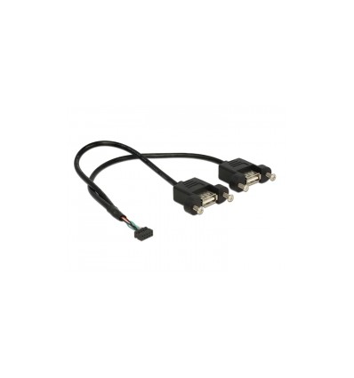 Delock Cable USB 2.0 pin header female 2.00 mm 10 pin - 2 x USB 2.0 Type-A female panel-mount 25 cm