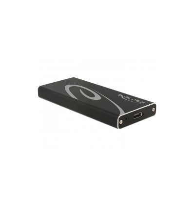 Delock External Enclosure M.2 SSD 42 mm - SuperSpeed USB 10 Gbps (USB 3.1 Gen 2) USB Type-C™ female