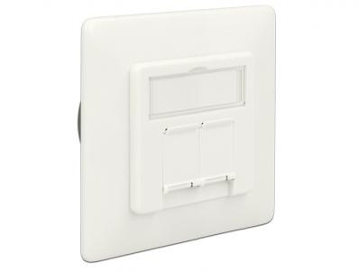 Delock Modular Wall Outlet flush mount 2 Port Cat.6A LSA