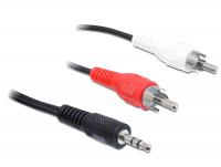 Cable Audio 3.5 mm stereo jack male 2 x RCA male 3 m